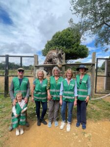 people in front of a giraffe